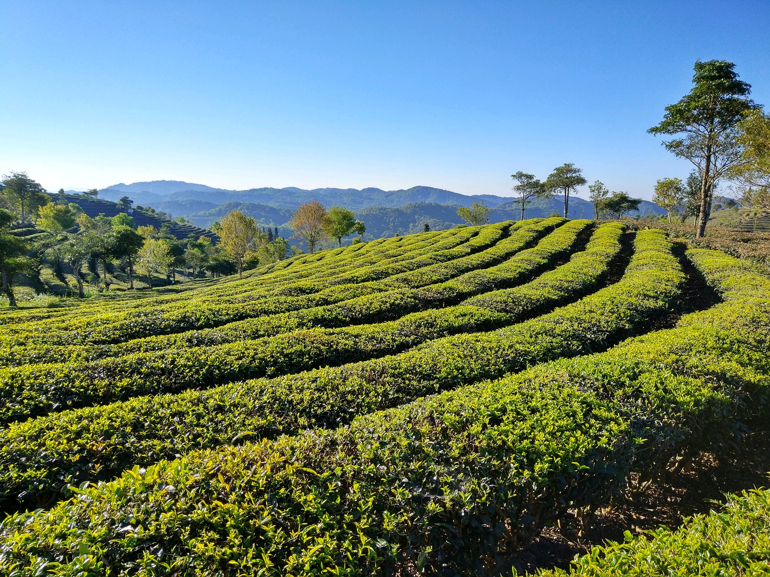 思茅旅游图片