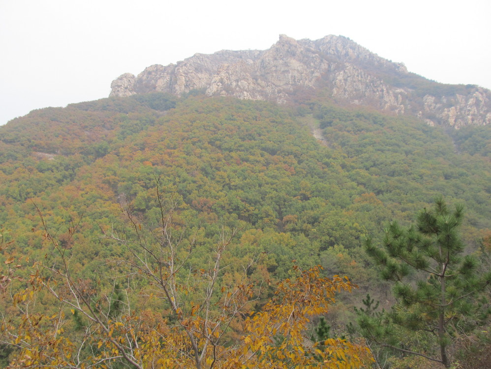 大黑山人口_北票大黑山风景区图片