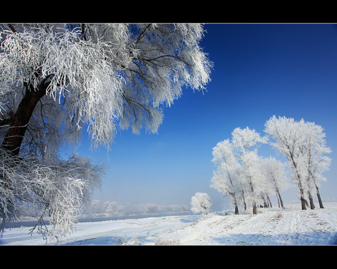 春节来了,去吉林吧!边看雪景边过年!