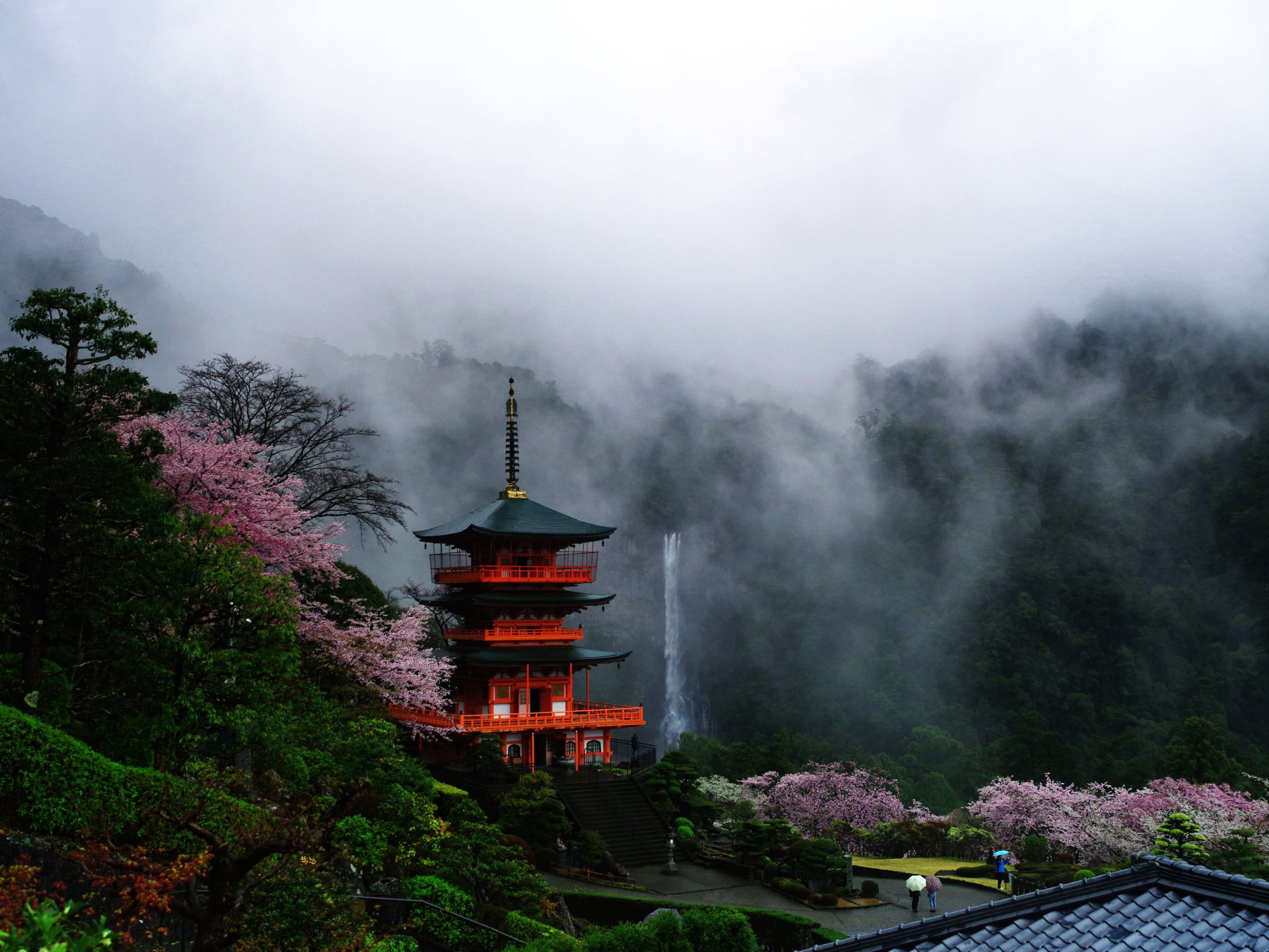 日本和歌山县-关西里的秘境"那智胜浦"探访记