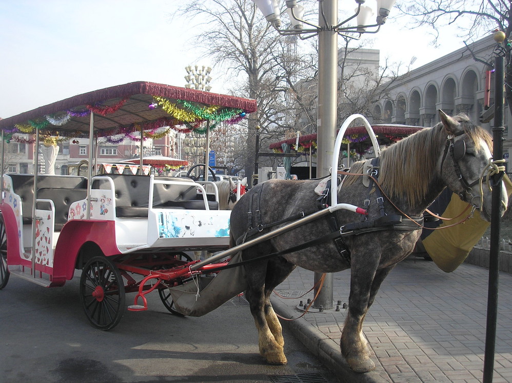 wKgBm08BePaCXb1nAAPqGKYmLos45.jpeg?imageView2%2F2%2Fw%2F600%2Fq%2F90%7CimageMogr2%2Fstrip%2Fquality%2F90