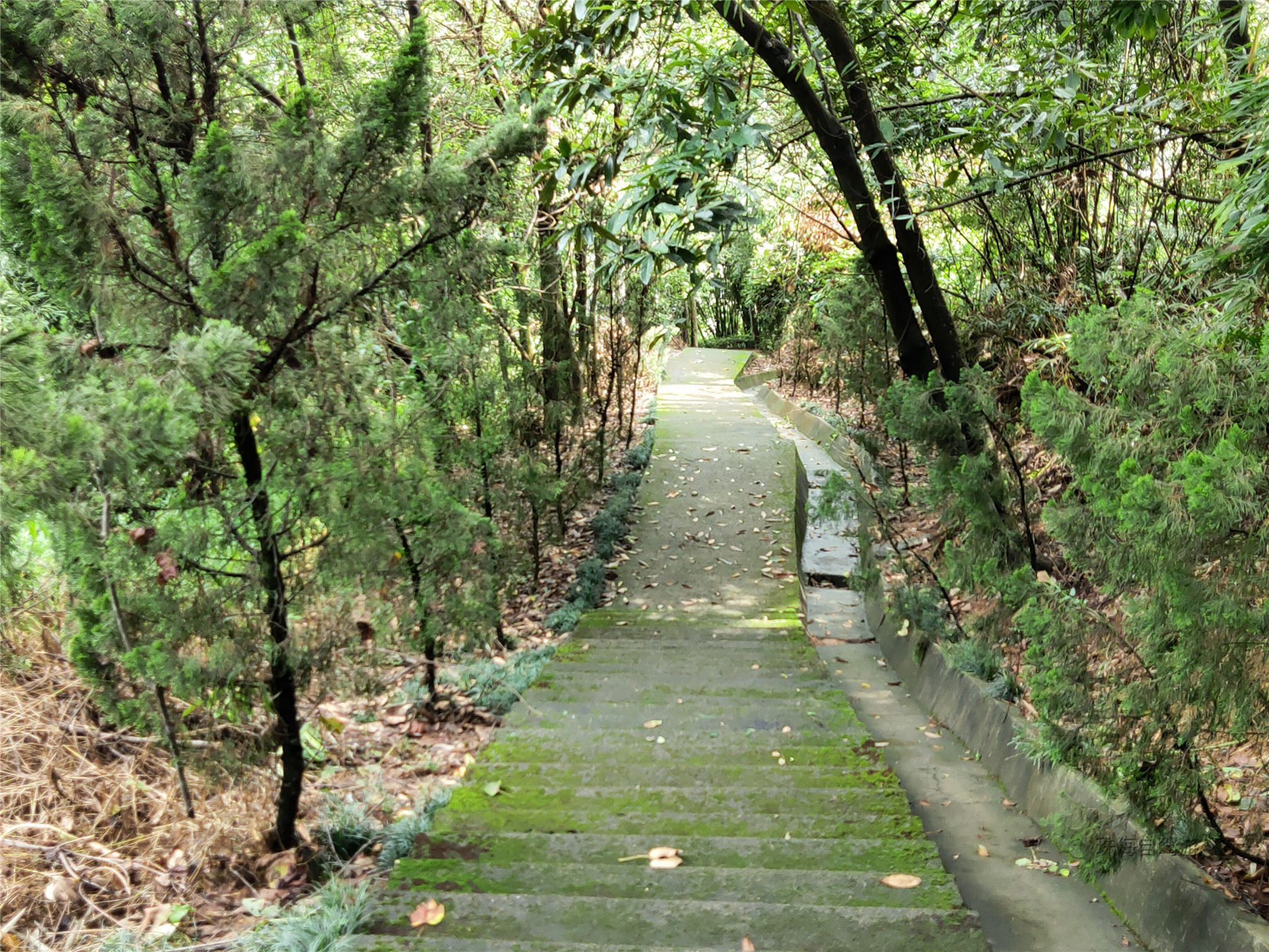 周末中山南朗云梯山爬山