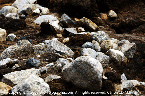 500_333gif 动态图 动图