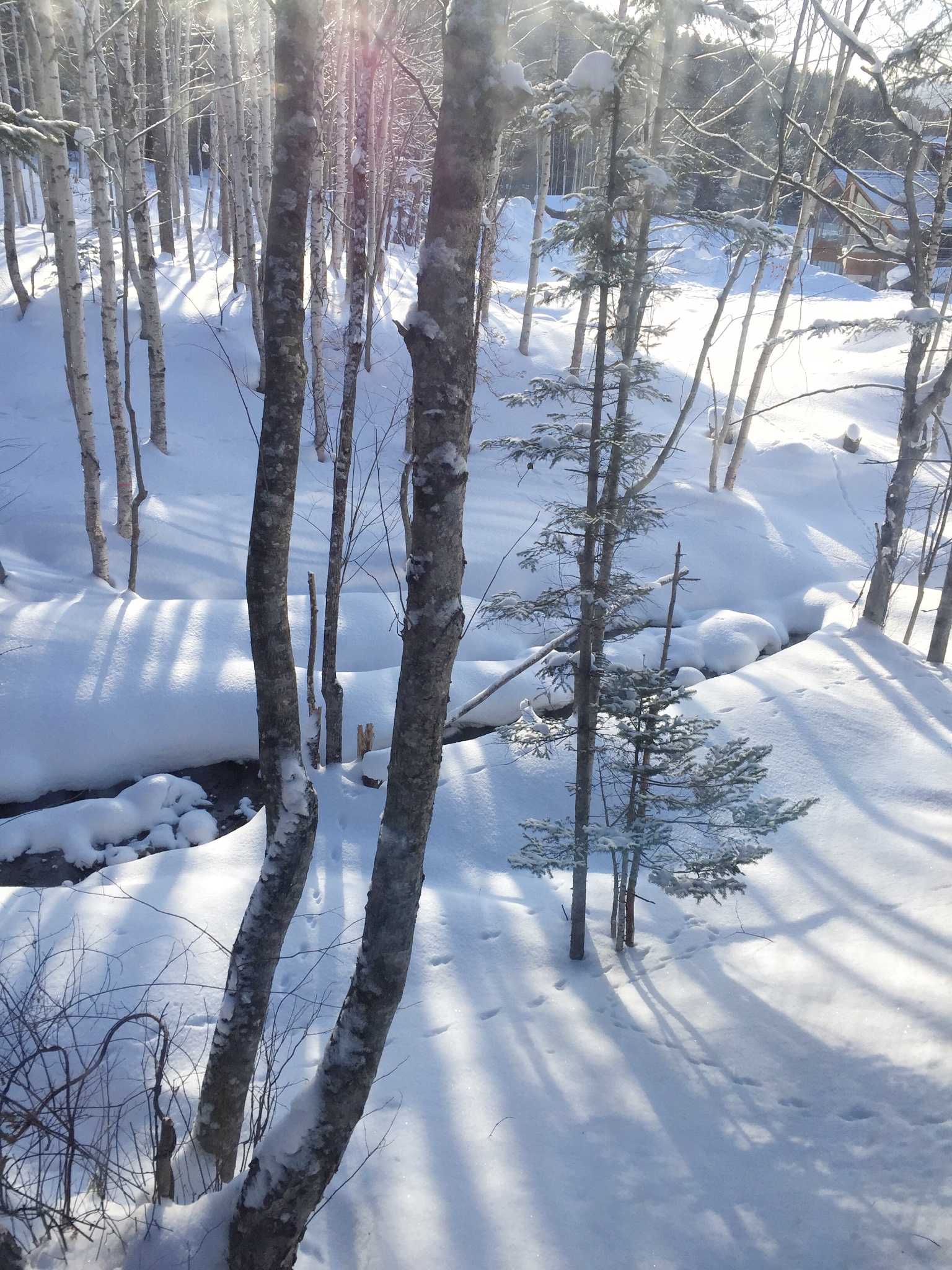 一片雪地猜成语_雪地里的小画家(3)