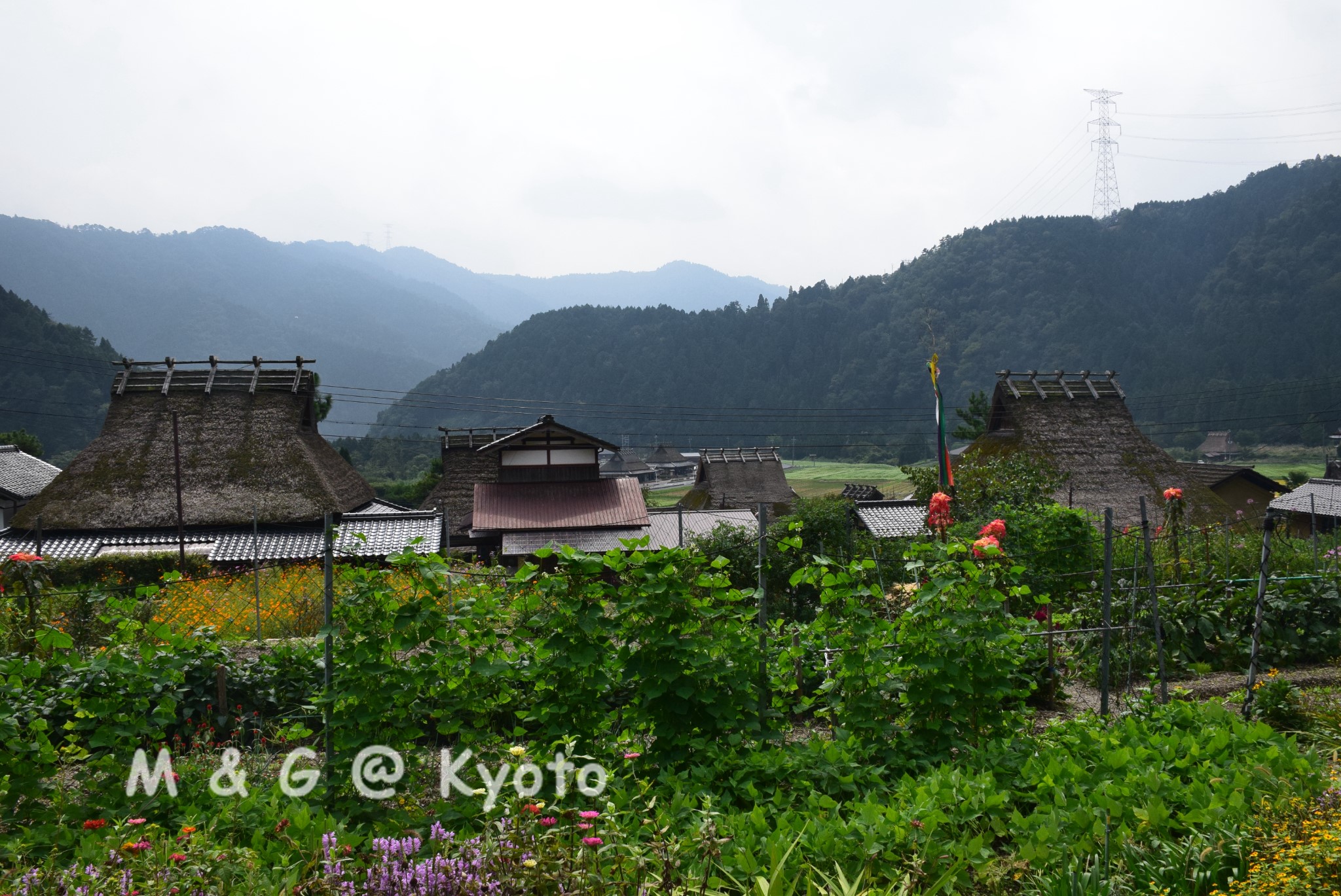 寿司是大阪人发明的吗？大阪感冒知识
