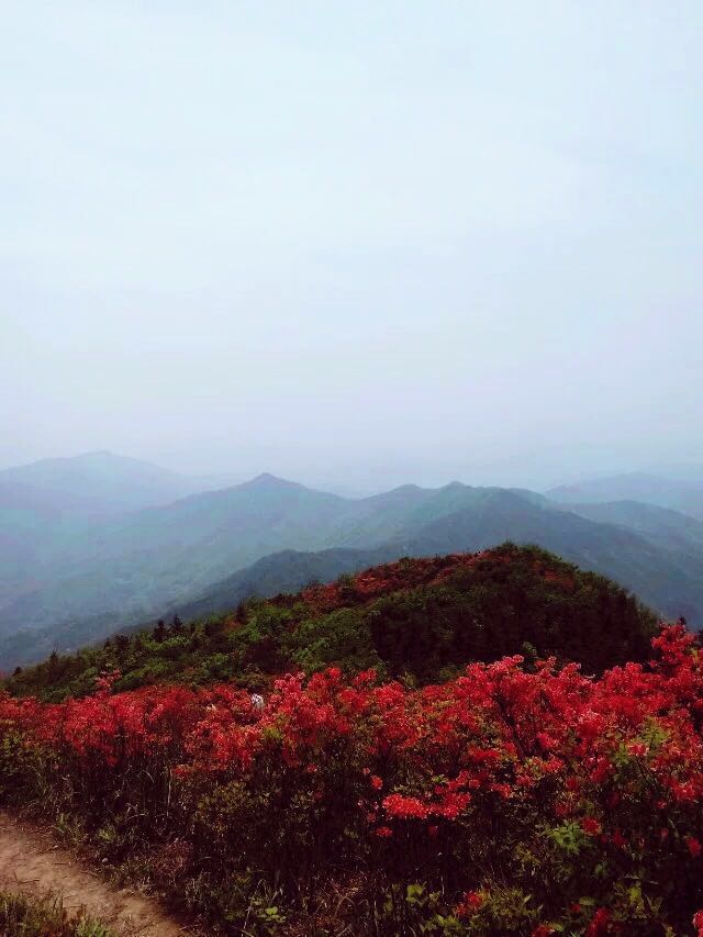 仙姑岽花开春末,天然去雕饰,原生态仙境一游,万载旅游攻略 - 马蜂窝