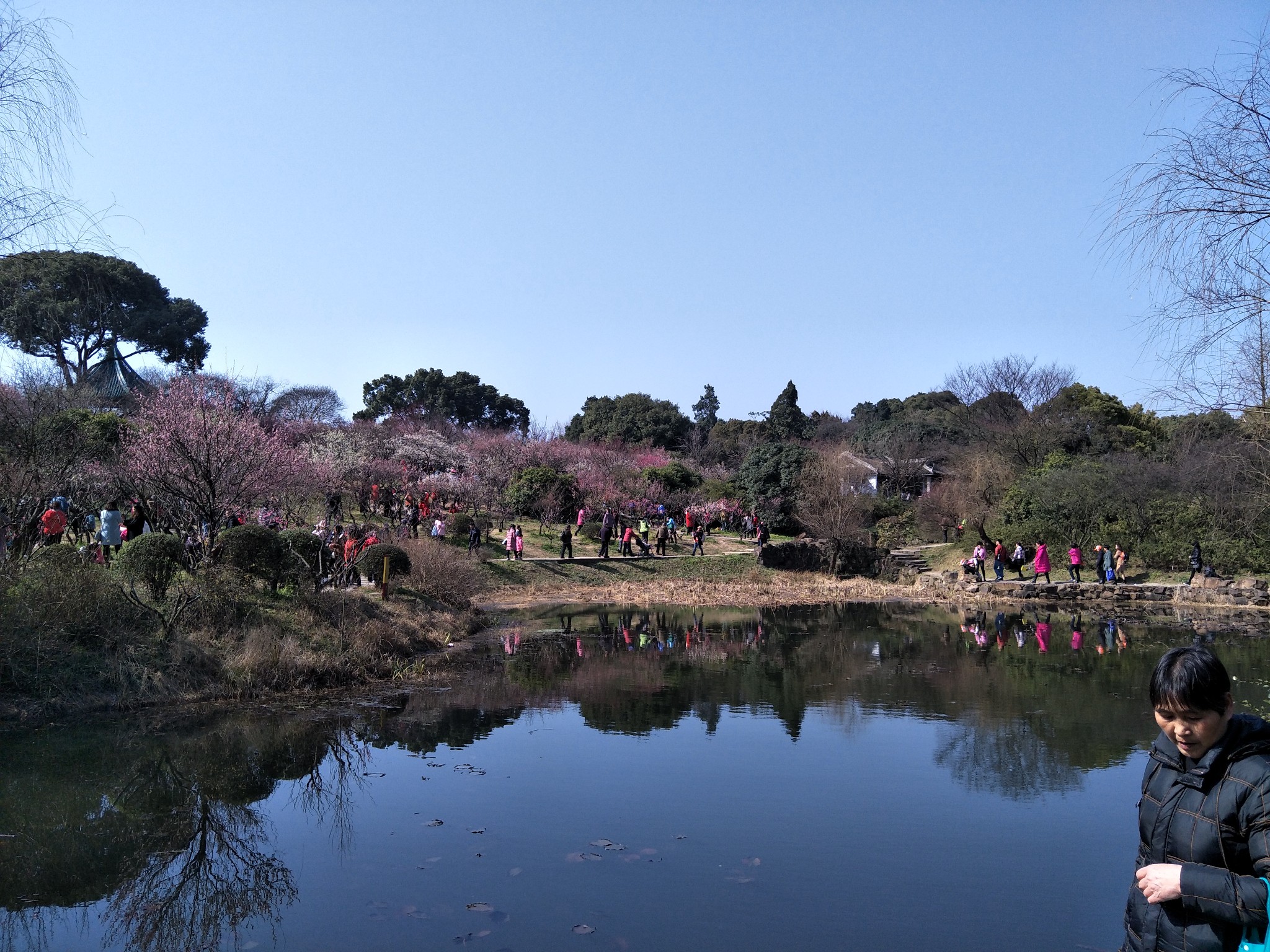 无锡梅园景区        