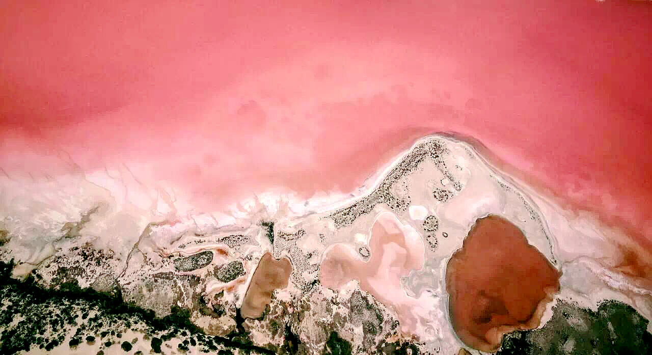 西澳粉红湖空中观光游 杰拉尔顿出发