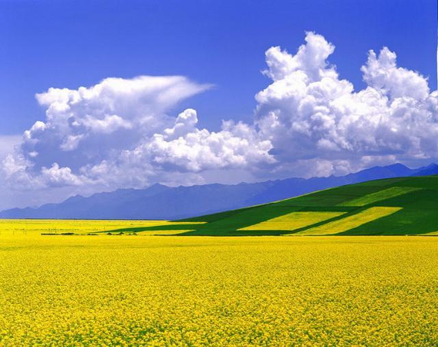 青海旅游的最好时间是几月 不会太挤天气又还好