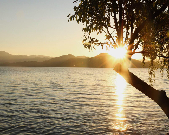 wKgBZ1j8GPWAfjy6AAIiYWIOO9864.jpeg?imageView2%2F2%2Fw%2F600%2Fh%2F600%2Fq%2F90