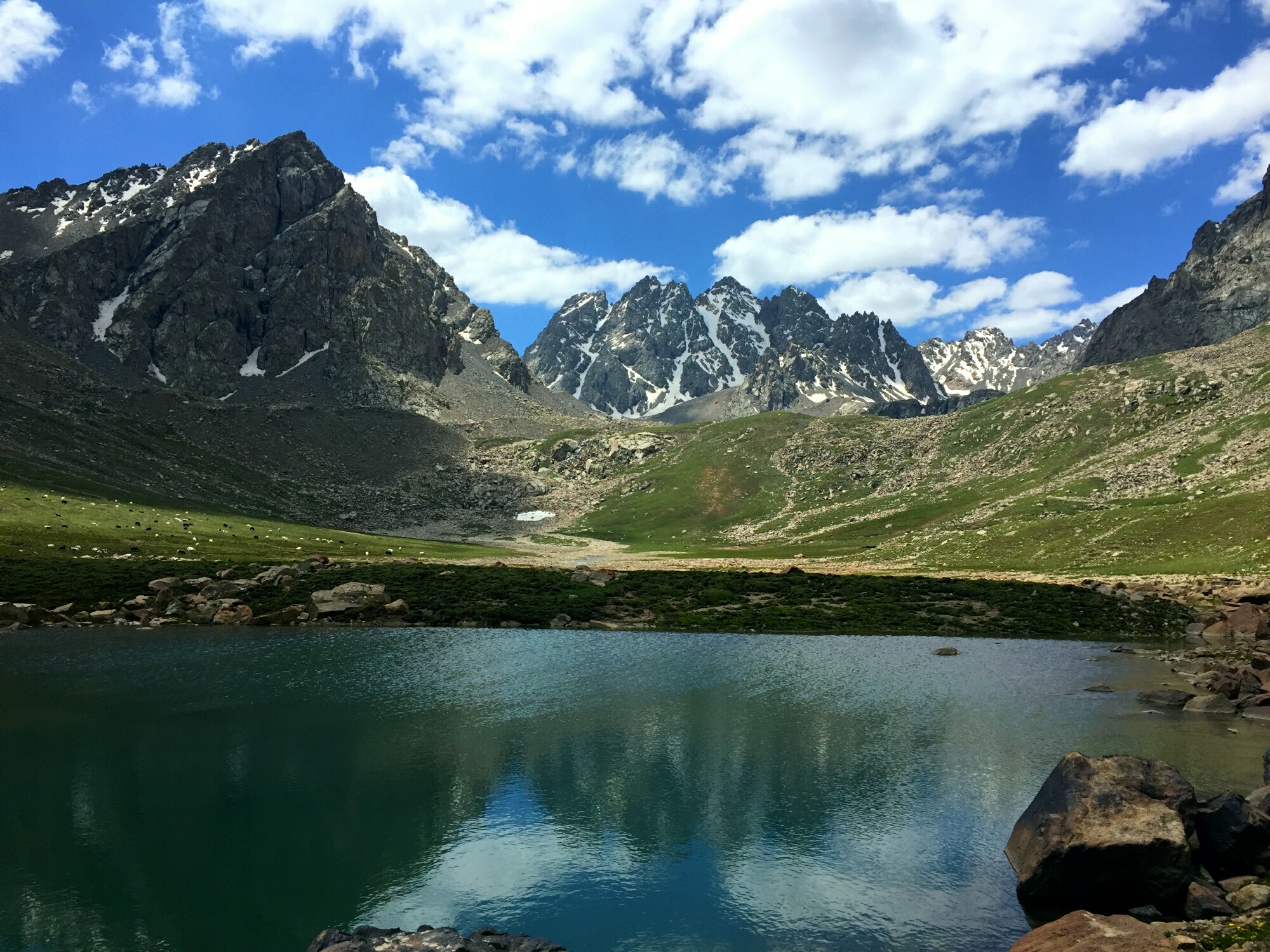 畅游冰沟河,祁连山旅游攻略 - 马蜂窝