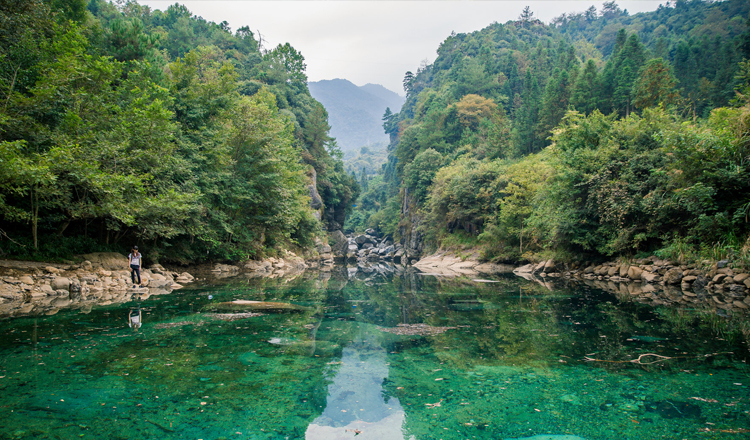 安徽池州石台牯牛降风景区门票(含单程景交)