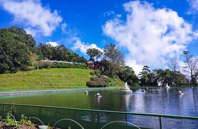 天台县平园村人口_天台县三合镇建设村(2)