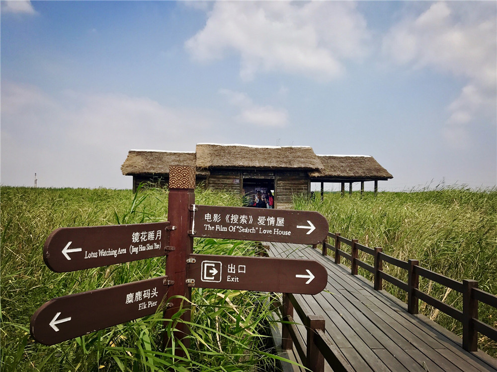 追一部剧,恋一处景 | 《搜索》拍摄地杭州湾湿地公园初体验