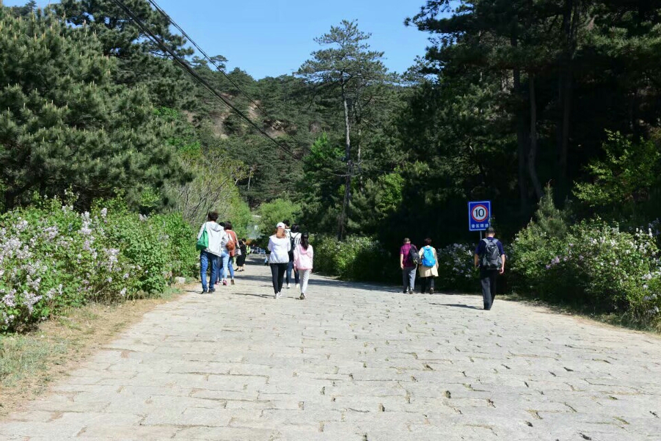 大朝阳国家森林公园      