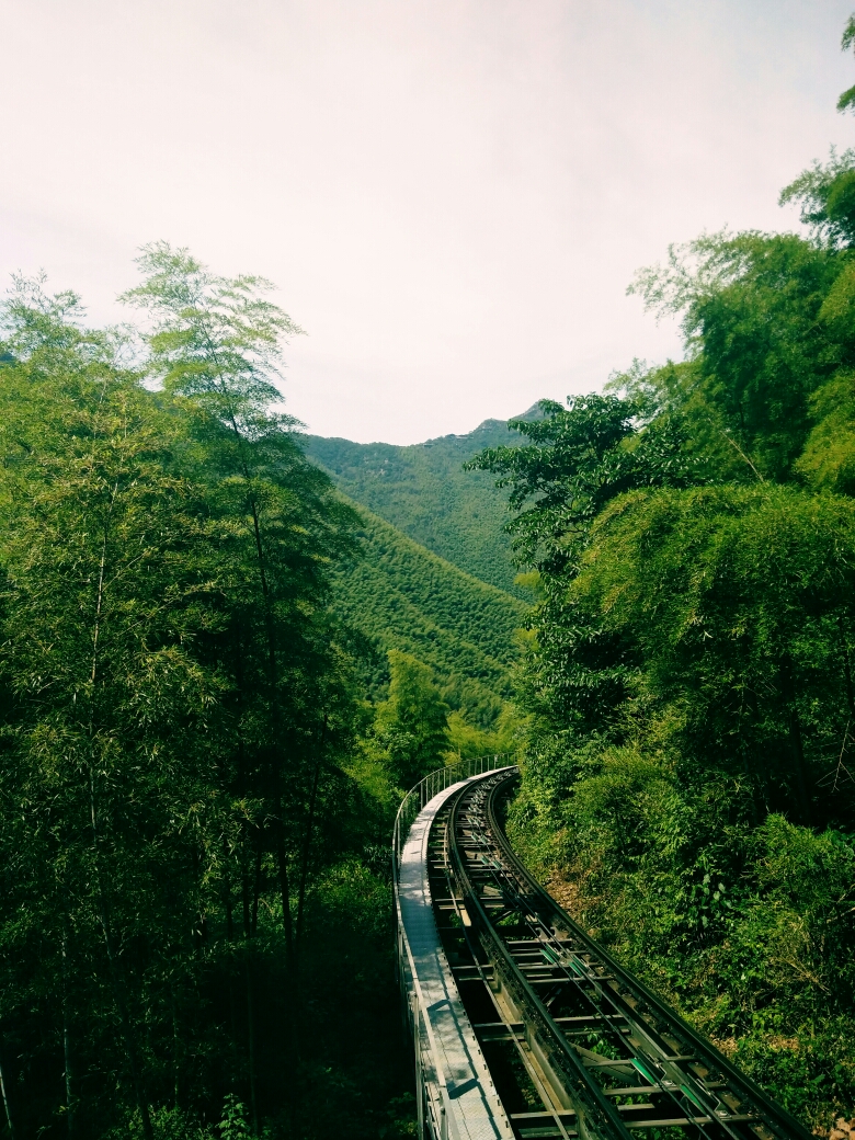 常州溧阳南山竹海