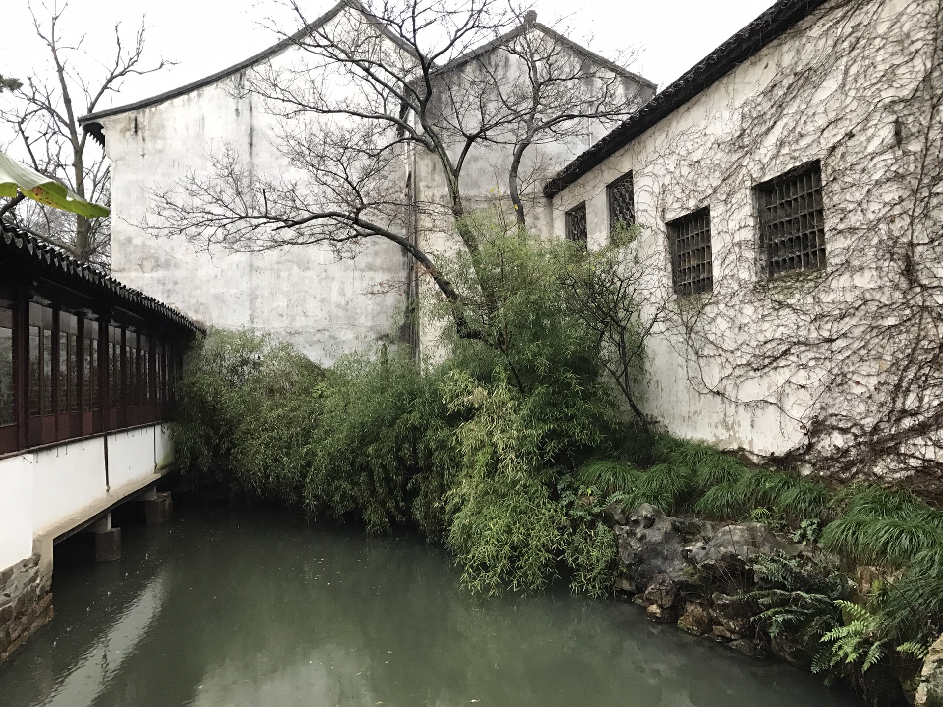 水墨江南烟雨蒙蒙走苏州