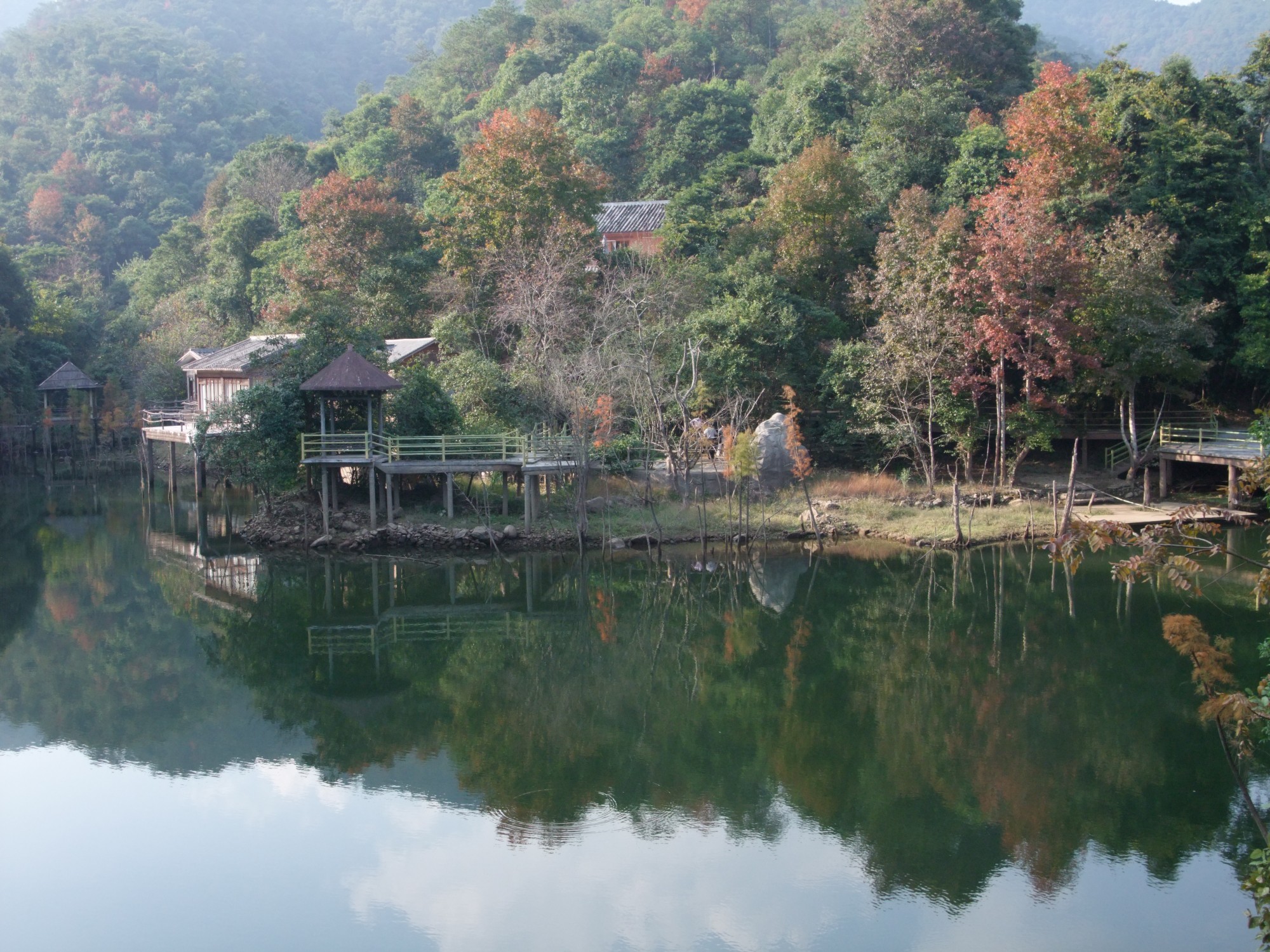 德庆热门游记,德庆自助游游记,德庆旅游热门游记 马蜂窝