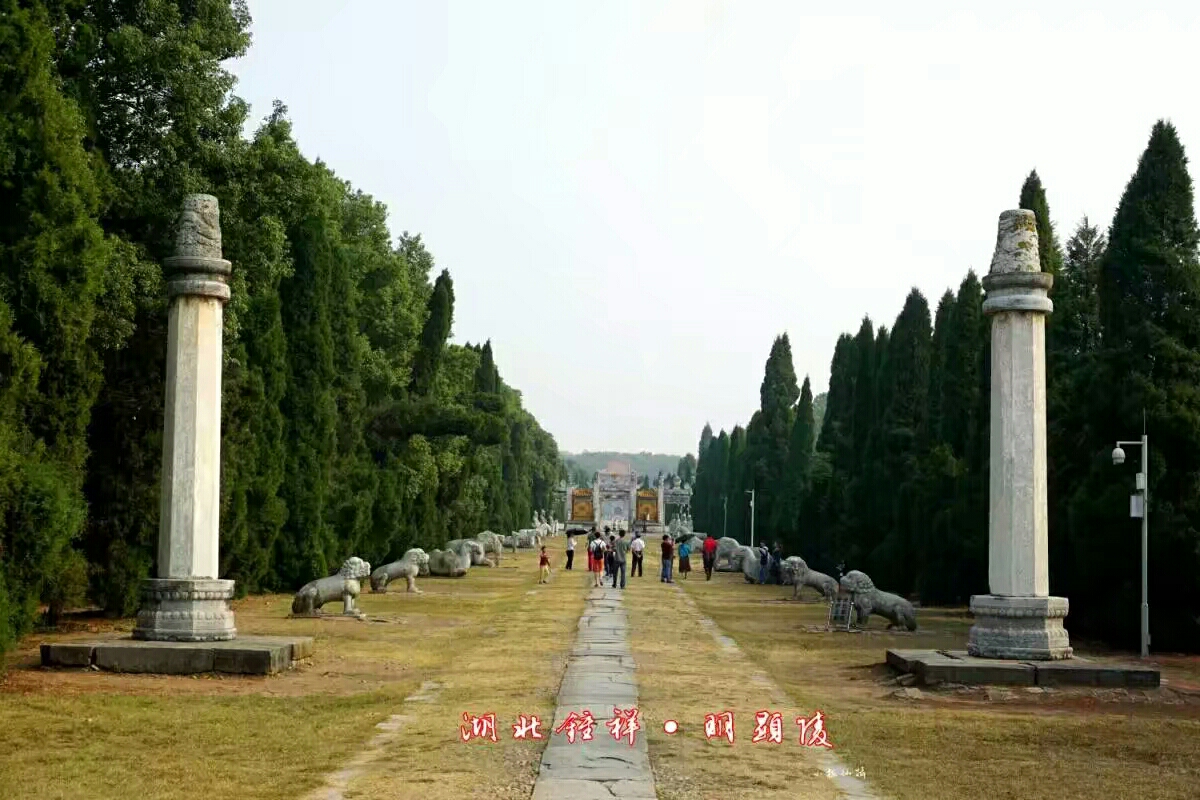 望柱后面的两排石雕叫石像生,显陵共有12对石像生,左右对称排列在