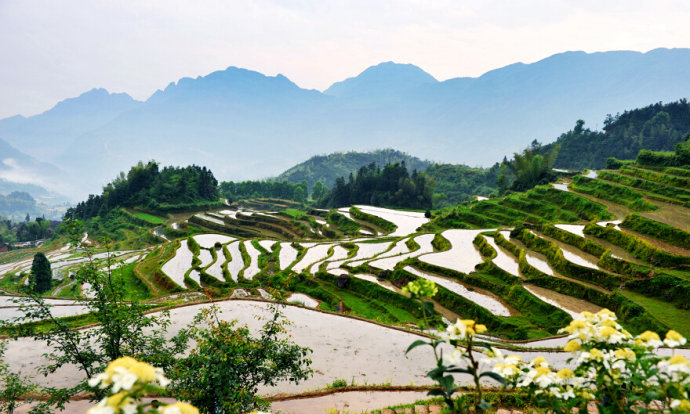 云和 丽水云和梯田景区门票