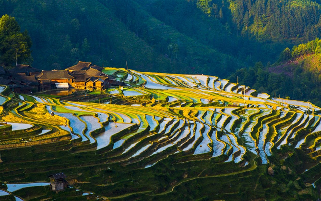 肇兴侗寨 黄果树 加榜梯田 西江千户苗寨 荔波 青岩古镇7日包车游