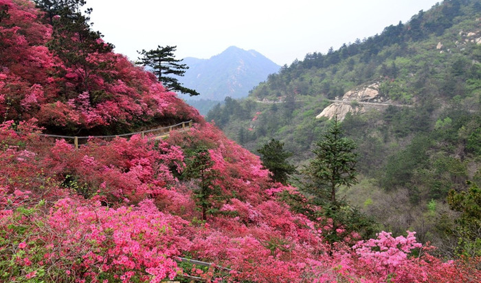武汉木兰云雾山景区大门票