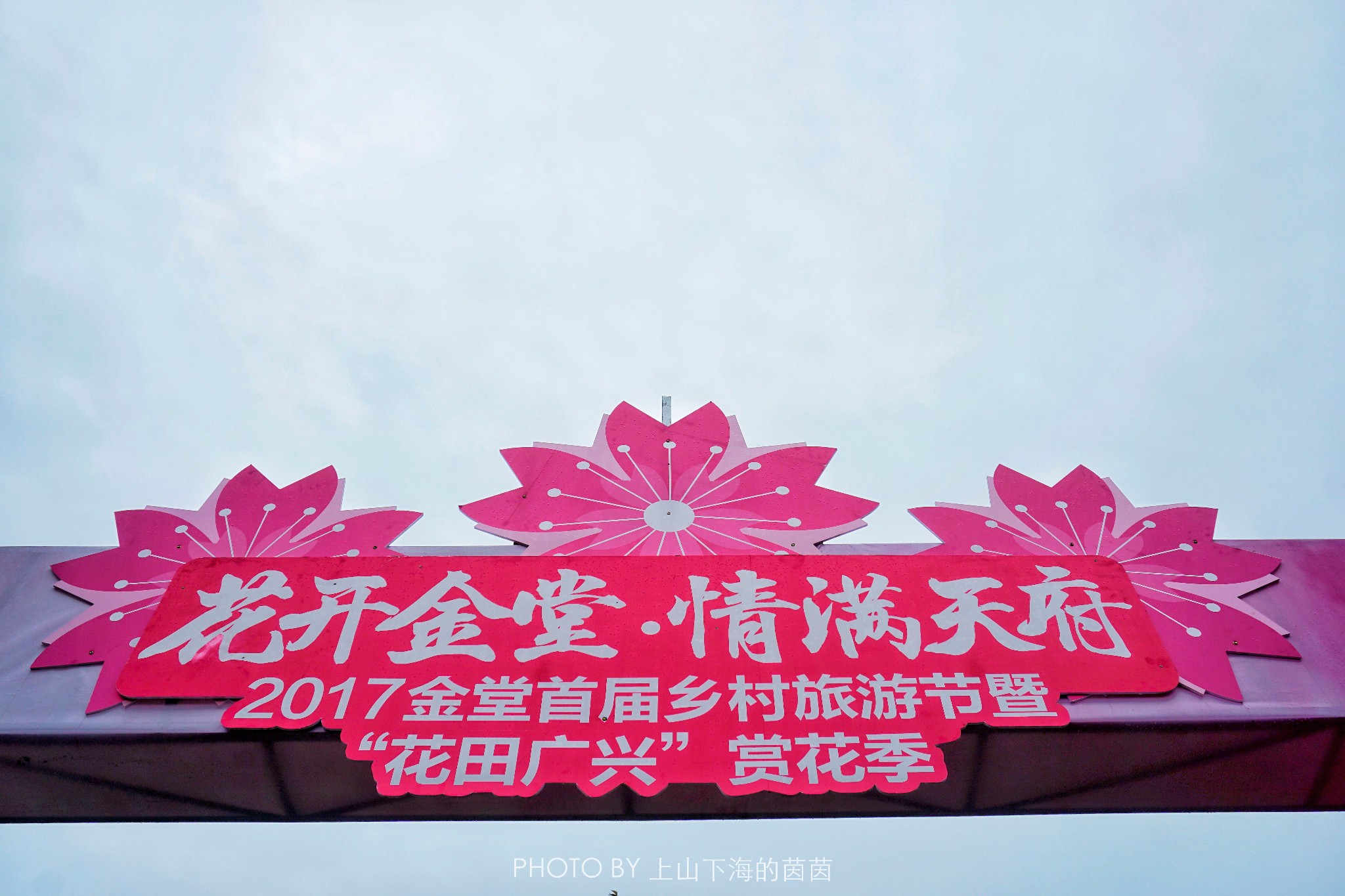 触手可及的十里樱花,"花田广兴"浪漫樱花园