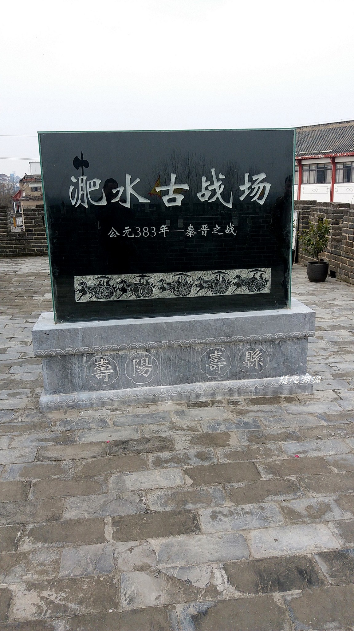 旁什么青成语_什么是青驰菊(3)