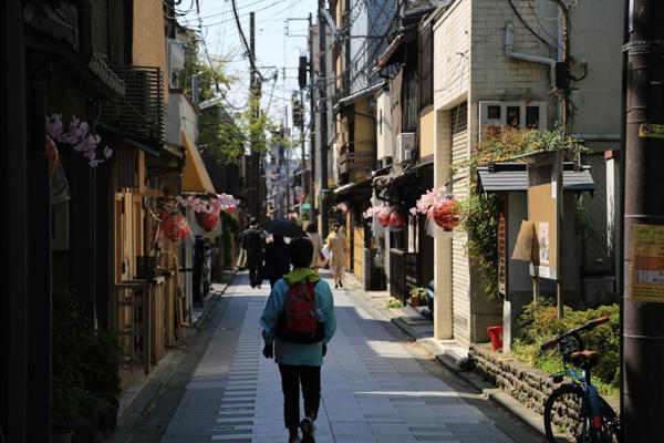 日本:花间小路与哲学之道