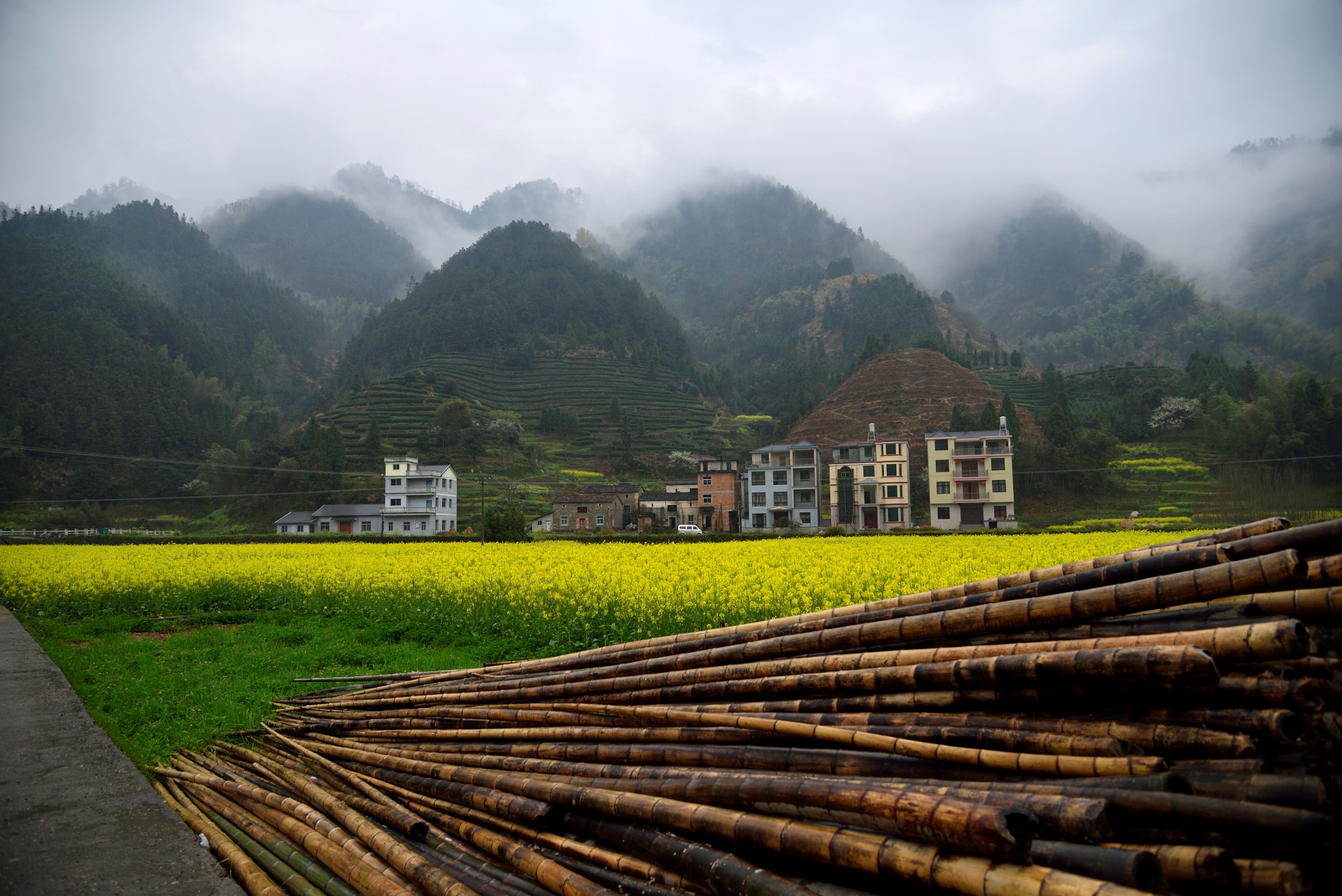 第三天下午:马金镇石柱村,齐溪镇大龙山