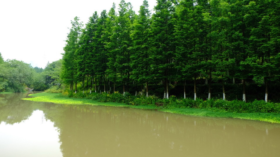 九曲河湿地公园