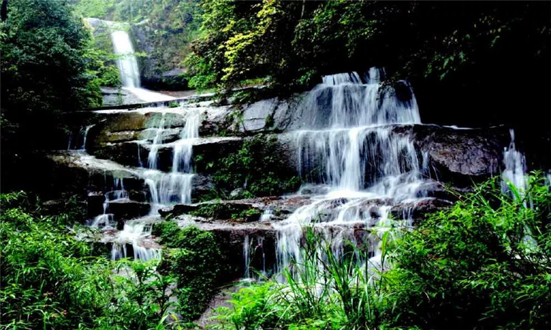 重庆四面山风景区门票(中国森林氧吧)