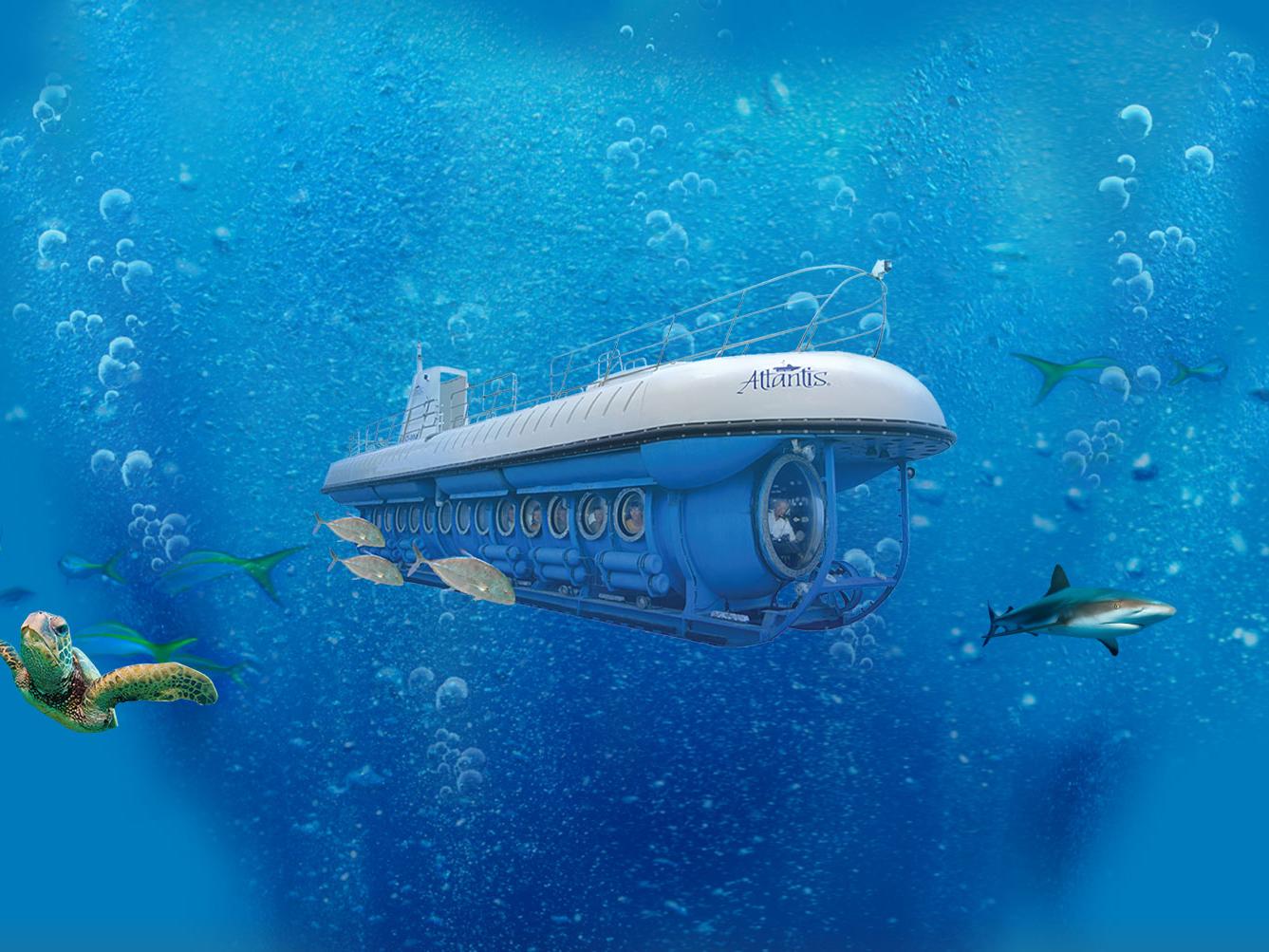欧胡岛亚特兰蒂斯潜水艇观光(深入海底100英尺 中文讲解 威基基区域