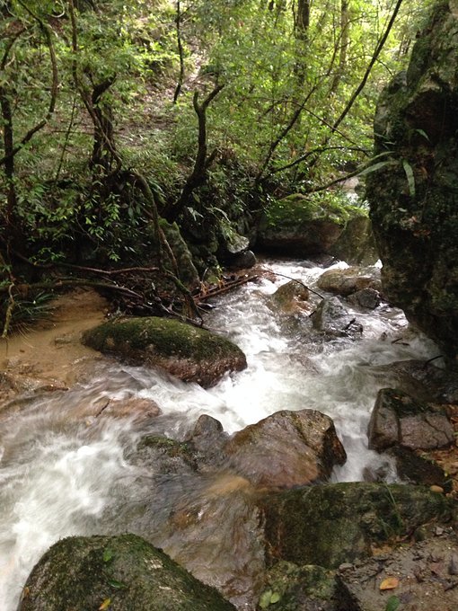 龙岩游玩攻略,龙岩游玩攻略必去景点