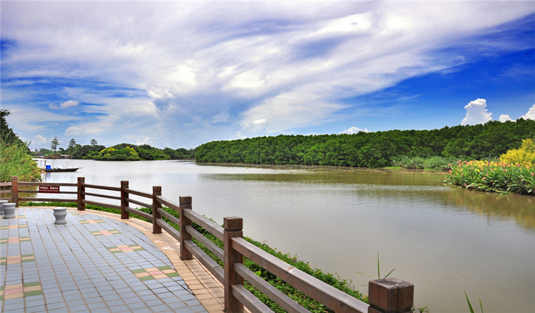 广州南沙湿地公园电子门票特惠票(碧波荡漾/万鸟齐飞)