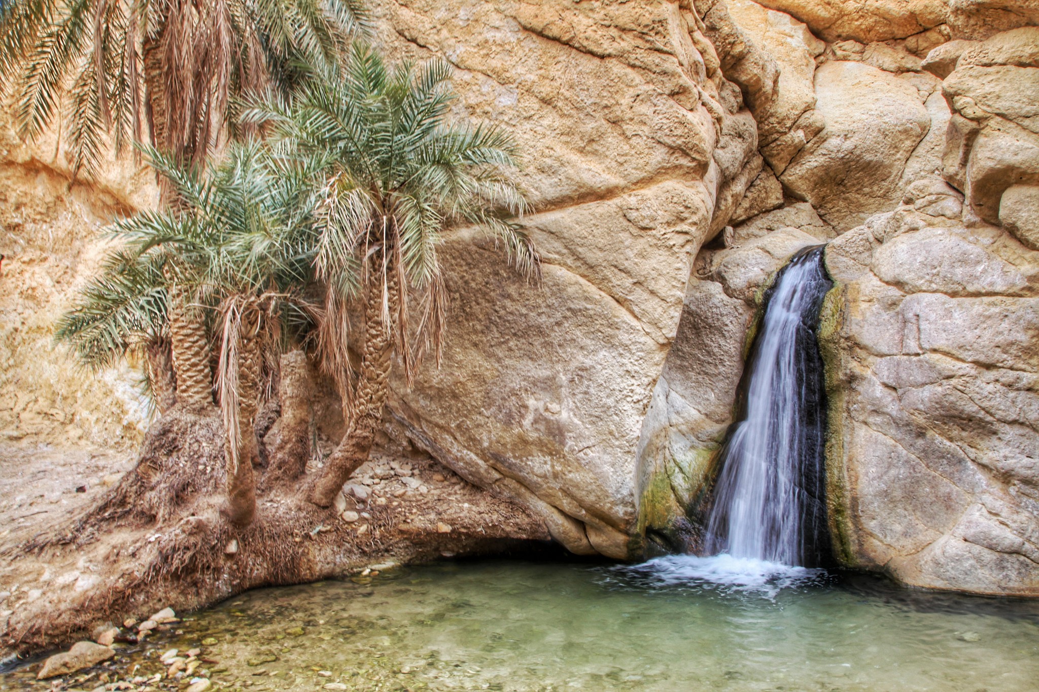 突尼西亚碧卡山绿洲 库存图片. 图片 包括有 小山, 绿洲, 东部, 风景, 撒哈拉大沙漠, 中间, 峡谷 - 237722889