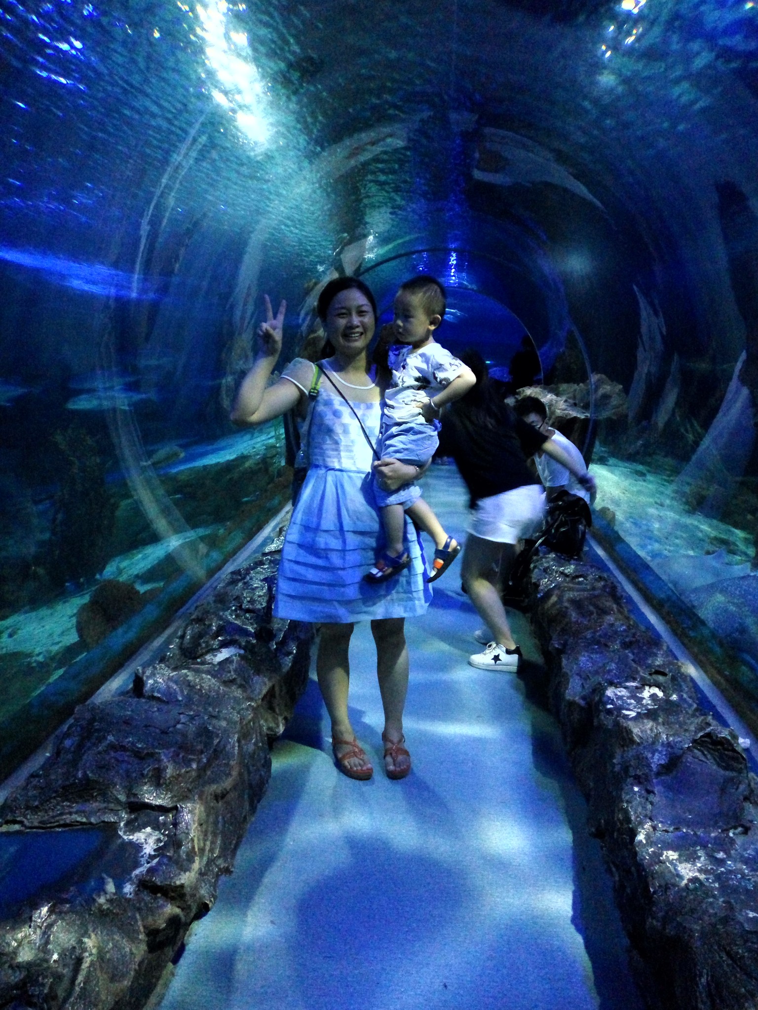 西安曲江海洋极地公园海洋馆  