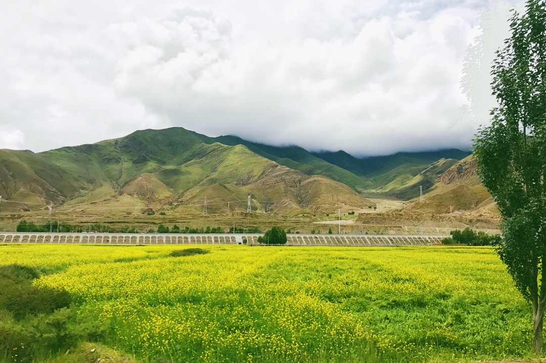 阿里到南木林县旅游