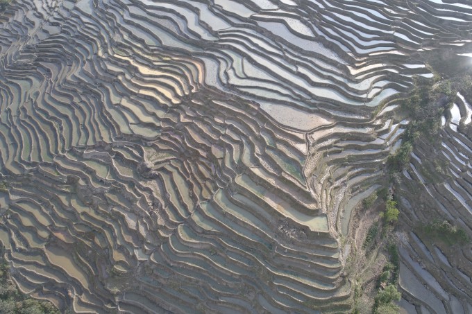 境内全是崇山峻岭,所有的 梯田都修筑在山坡上,梯田坡度在15度至75度之间。以一座山坡而论,梯田最高级数达3000级,这在中外梯田景观中是罕 见的。 哈尼族古老的《天.地.人的 传说》中说:大鱼创造了宇宙天地和第一对人,男人叫直塔,女人叫塔婆;塔婆生下二十二个娃,其中老三是龙,龙长大以后到海里当了龙王,为感激塔婆的养育之 恩,向塔婆敬献了三竹筒东西,其中一筒里盛有稻谷种。也就是说,哈尼人认为,自开天辟地以来便有了稻子。说明哈尼人是最早驯化野生稻的民族之一,水稻种植 是哈尼人古老的生产内容。千百年来,哈尼