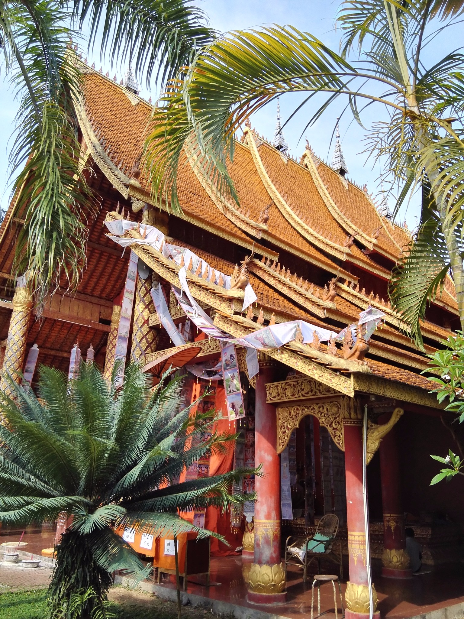 环中国自驾游云南之西双版纳3景洪橄榄坝傣族园