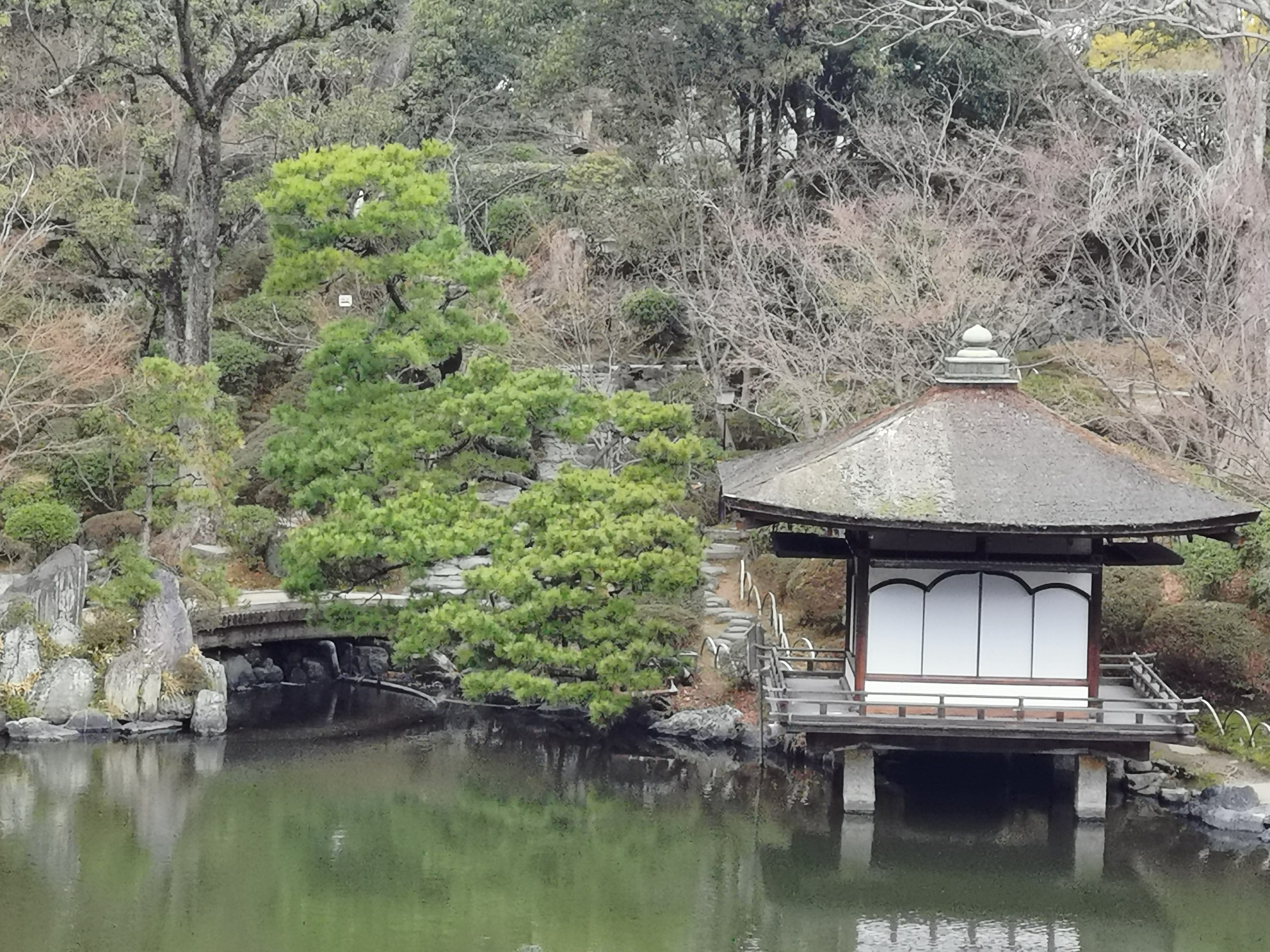 日本关西游(第四天),和歌山市自助游攻略 - 马蜂窝