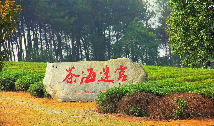 南昌 凤凰沟风景区电子门票(直接凭短信验证码入园)