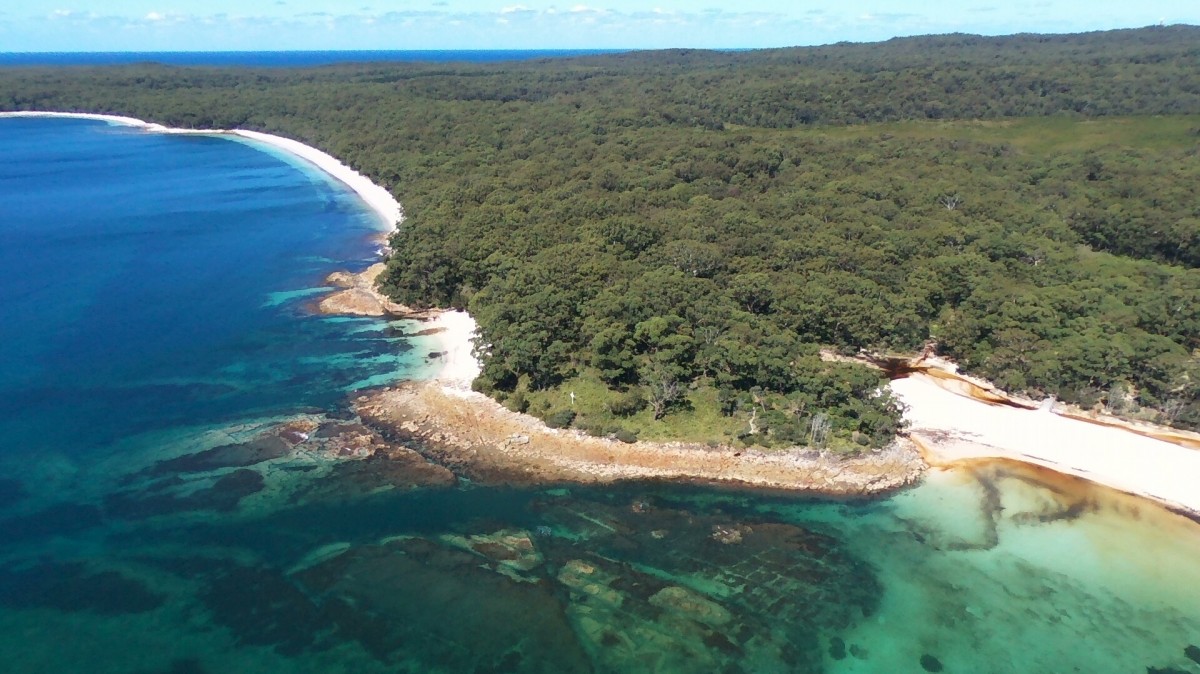 悉尼 杰维斯湾观海豚游船(jervis bay)