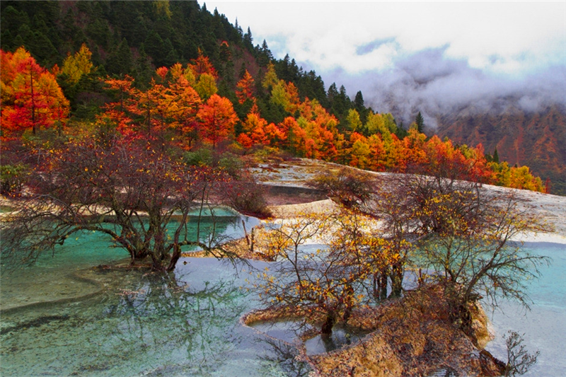 景区地址:四川省阿坝藏族羌族自治州松潘县黄龙乡境 参考地址: ①