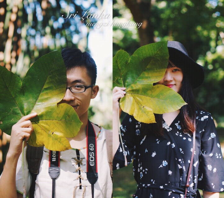 热带的植物长得都大一号,看这叶子,一叶遮脸.