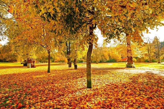 俄罗斯冬季气温情况,几月去最适宜