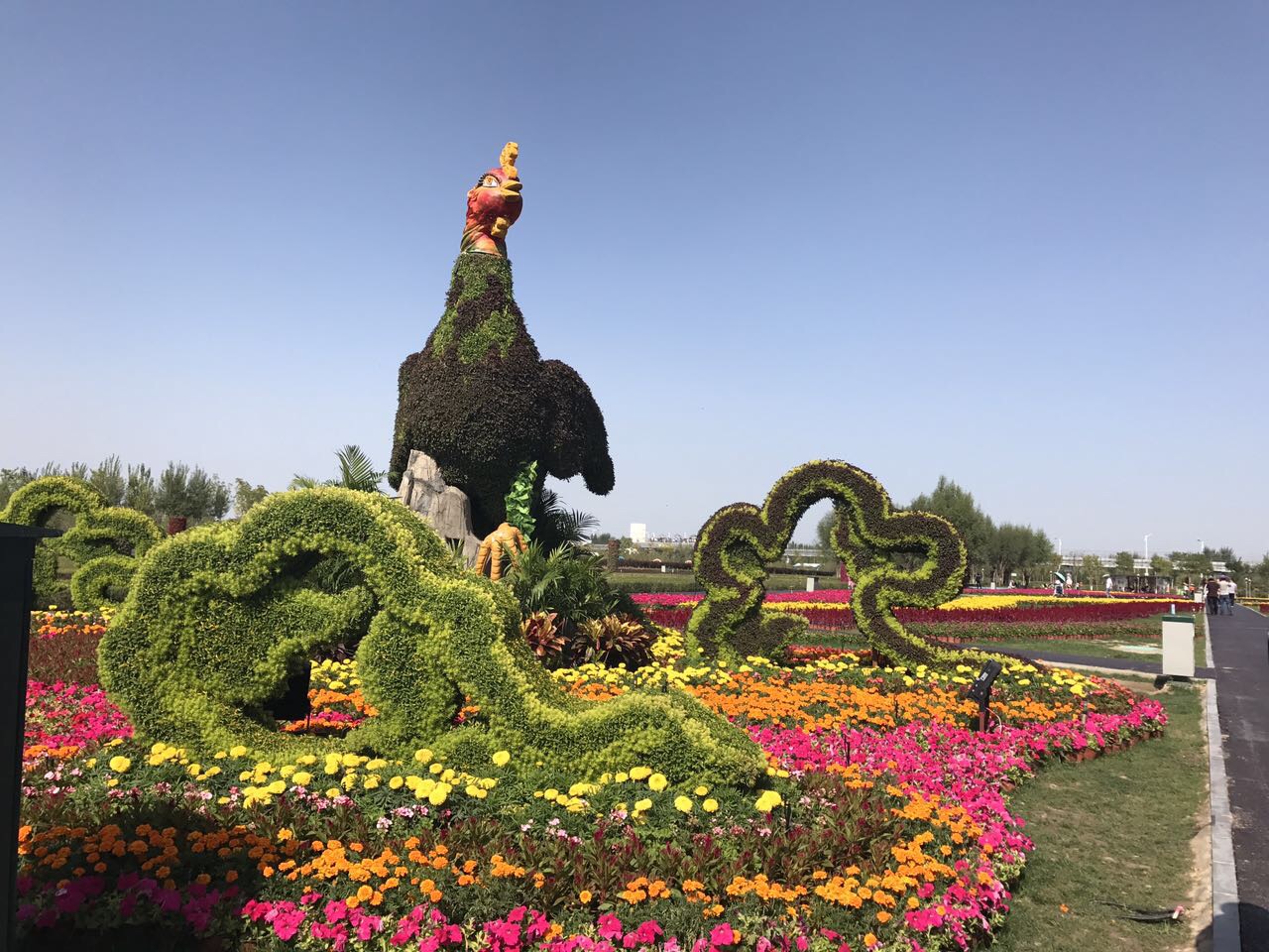 银川让世界聆听花开的声音中国银川花卉博览会