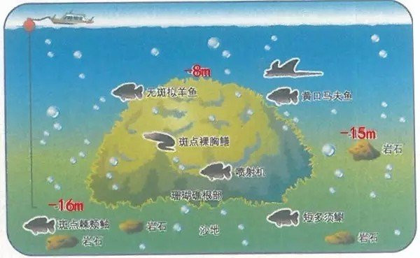 wKgBZ1mrY8yAC5bZAADo6RP-P7I40.jpeg?imageView2%2F2%2Fw%2F600%2Fh%2F369%2Fq%2F90%7Cwatermark%2F1%2Fimage%2FaHR0cDovL3AzLXEubWFmZW5nd28ubmV0L3M4L00wMC82Mi82MC93S2dCcFZodUN3NkFKR1MxQUFBSk5QeGl2RTQ2MzEucG5n%2Fgravity%2FSouthEast%2Fdx%2F10%2Fdy%2F11