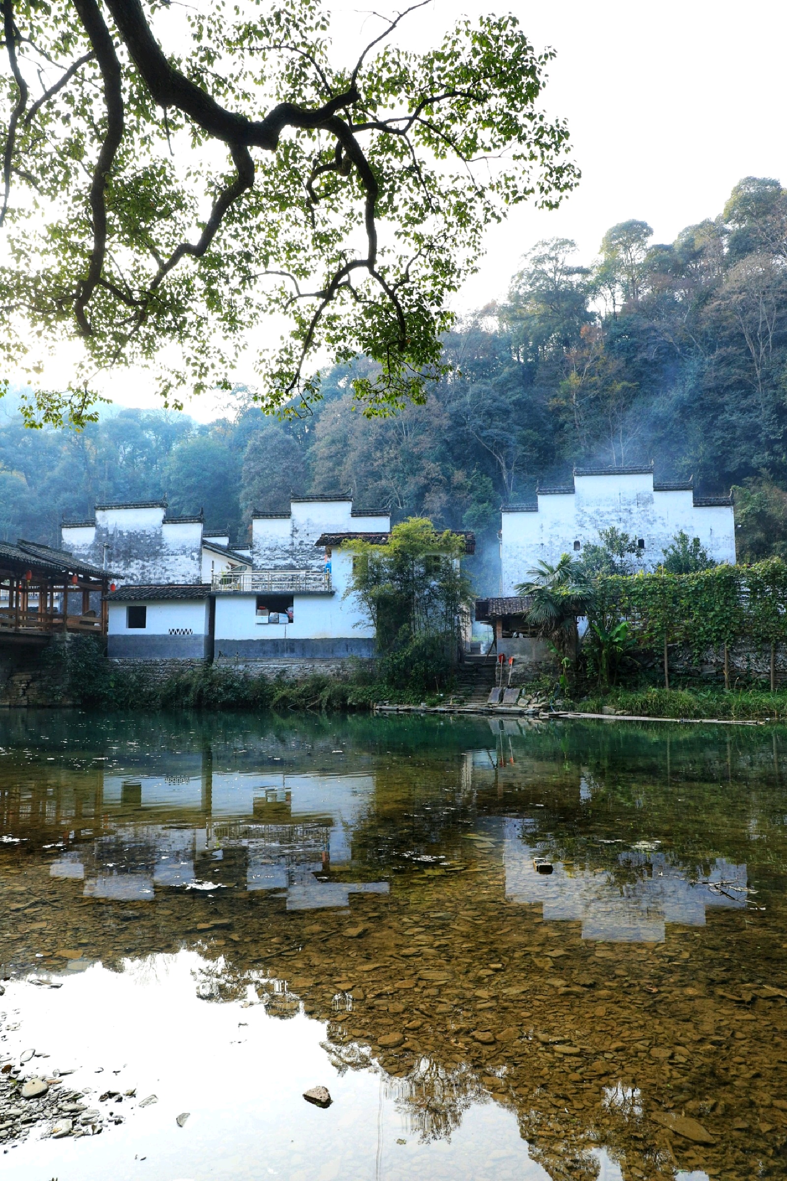 蜂评: 晓起 蜂评: 石城红枫叶景区 蜂评: 婺源月亮湾 蜂评: 菊径村 蜂