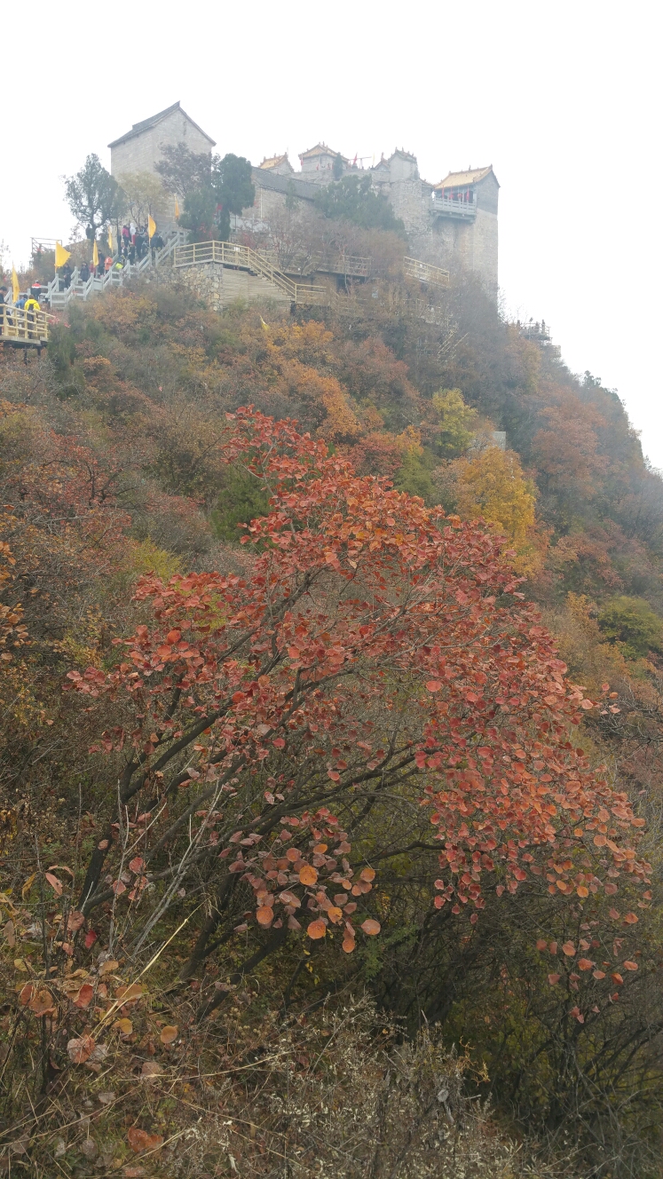 闲游安阳林州秋游柏尖山